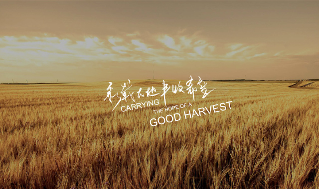 YANCHENG LIMIN CHEMICAL CO., LTD.