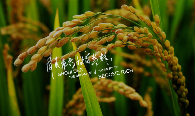YANCHENG LIMIN CHEMICAL CO., LTD.