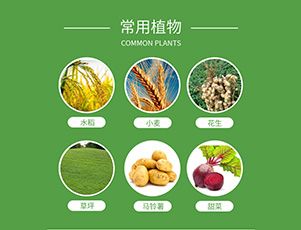 更多