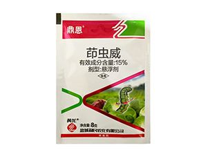 更多