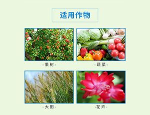 更多